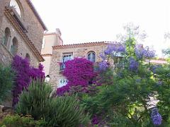 183 D23 BORMES LES MIMOSAS 1_000049